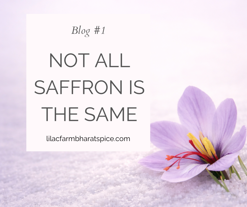 Not all saffron is the same blog cover with Kashmiri saffron flower on soft lilac background representing purity and natural kesar quality